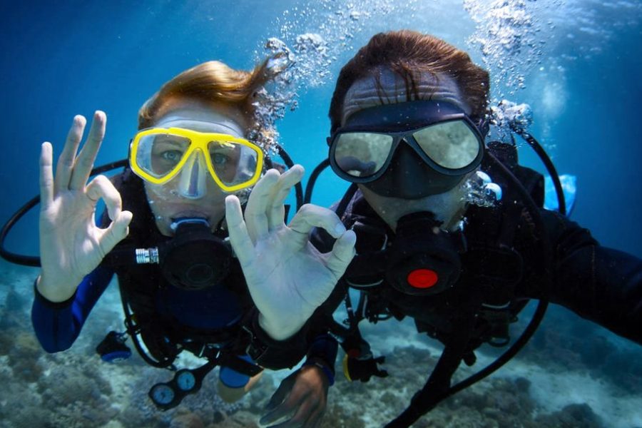 Daily Diving in Hurghada